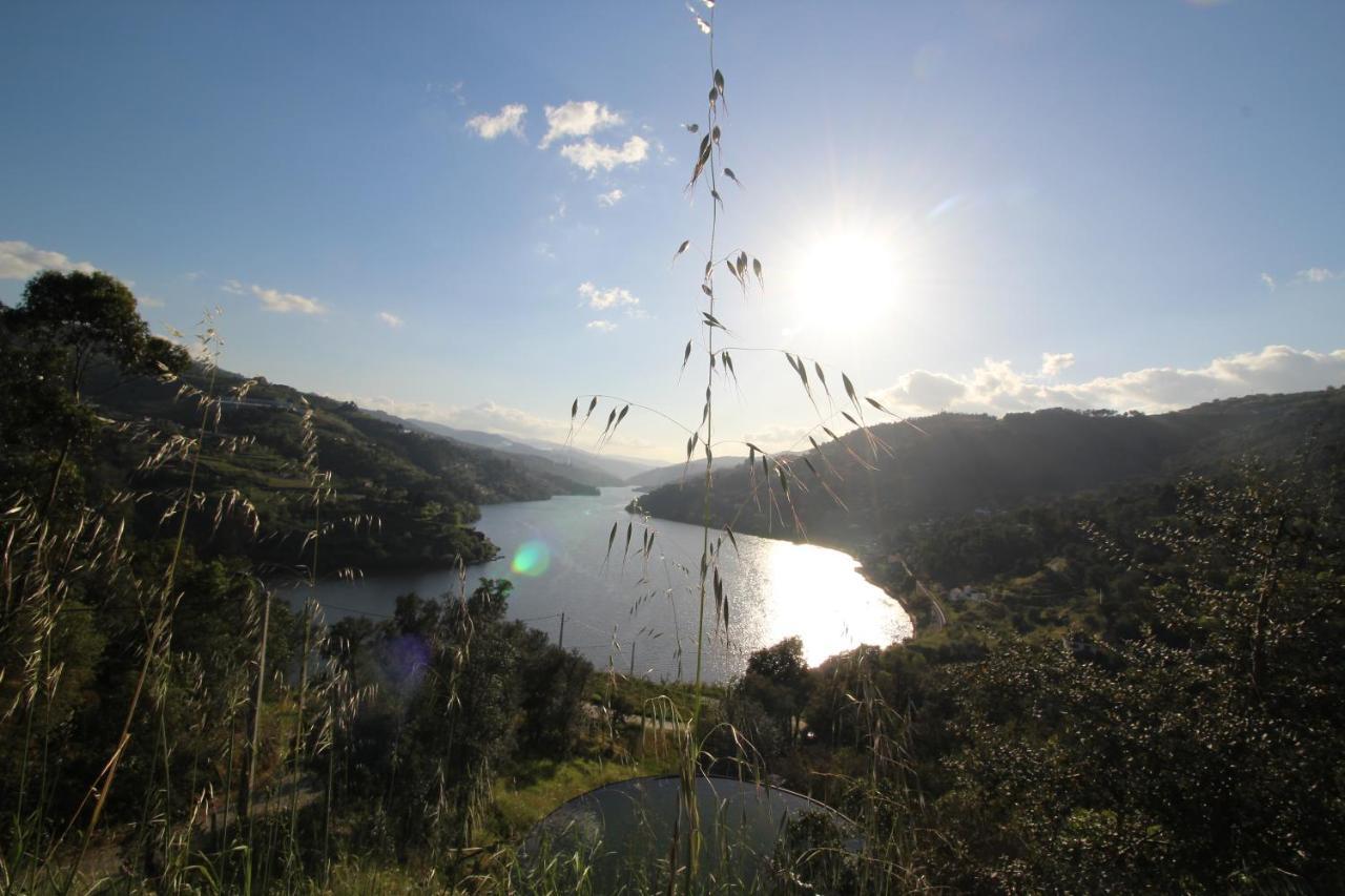 Casas Do Campo Da Moita Baiao